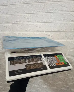 Shop Pricing Weighing Scale 30kg Weigh Digital Weighing Scale
