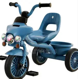 Durable Kids Bicycle for Boys and Girls – Trendy Kids' Bike.