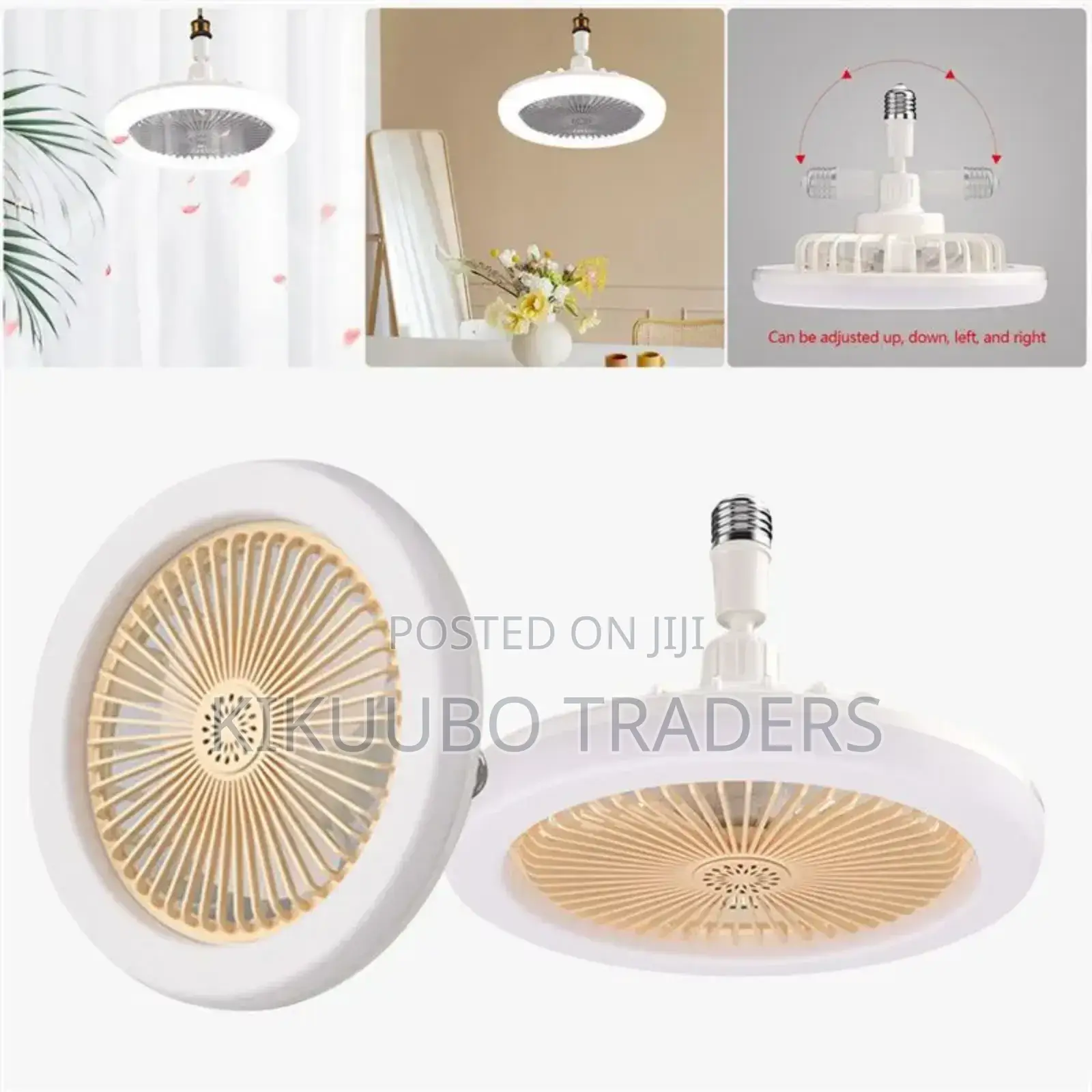 Multifunctional Fan Light