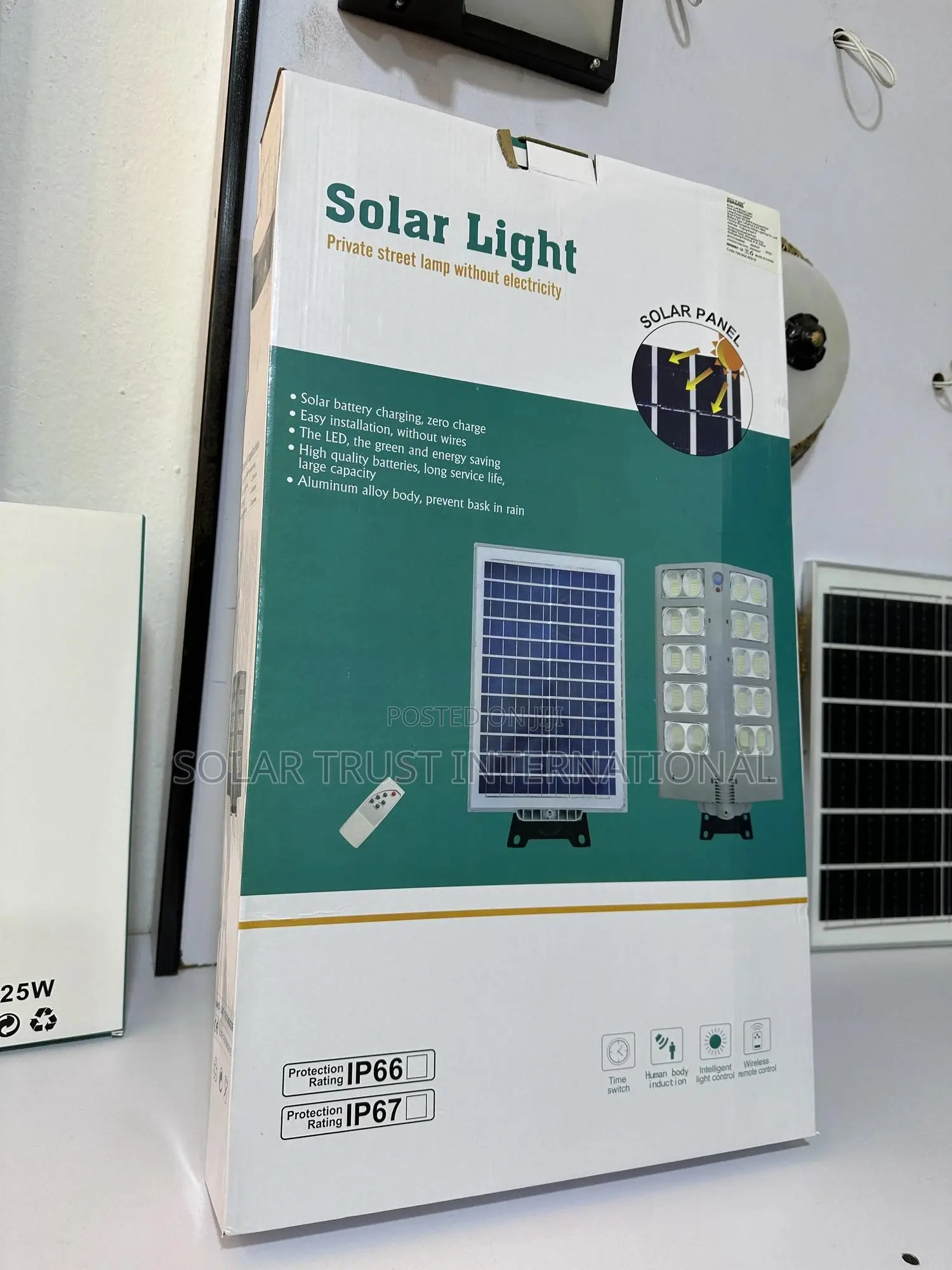 Street Light 3000 Lumens