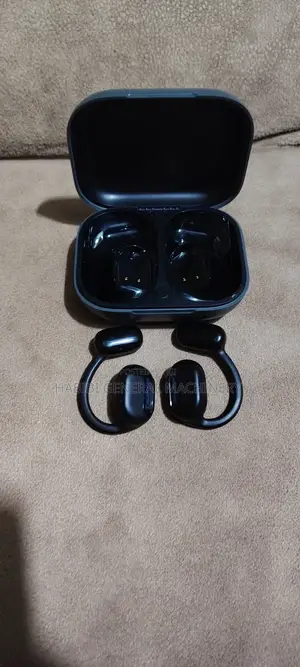 Truefree 01 Open Ear Earbuds