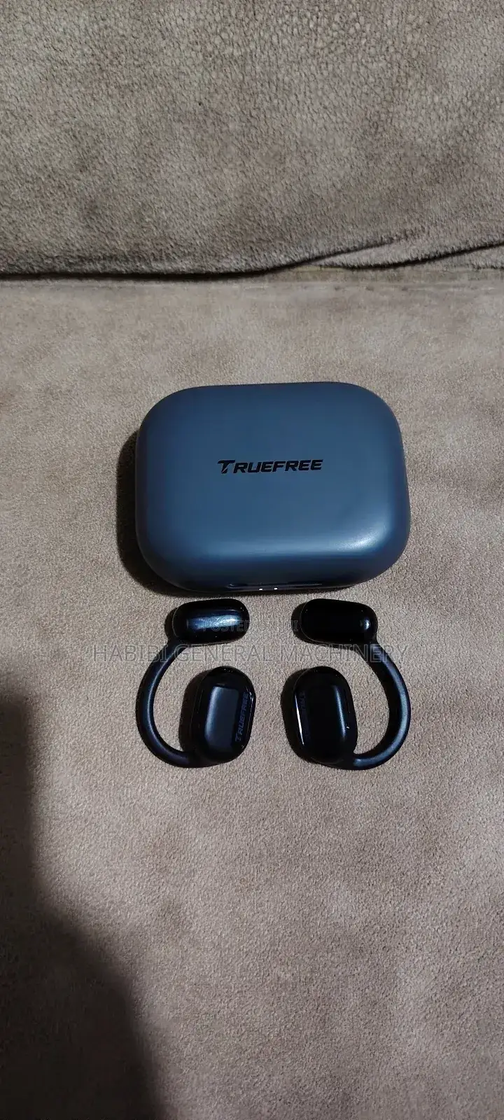 Truefree 01 Open Ear Earbuds
