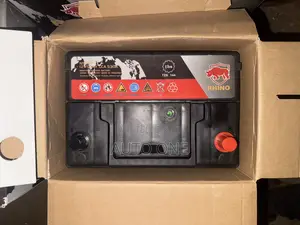 N55ah Rhino Batteries