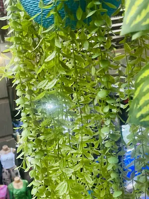 Swinging Artificial Plants/Piece