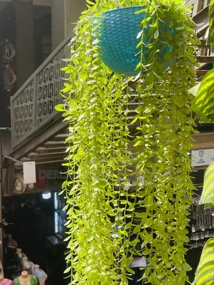 Swinging Artificial Plants/Piece