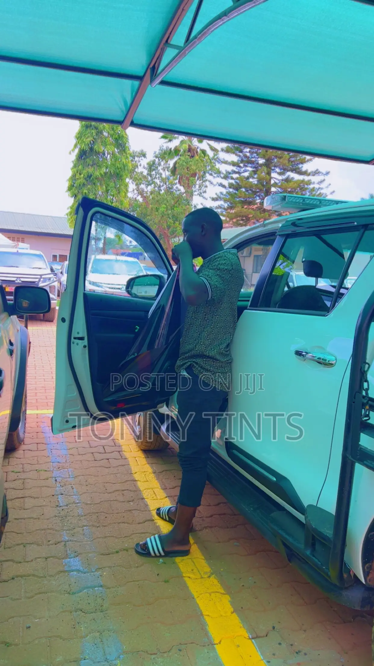 Car Door Tint