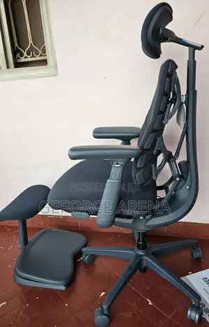 Libernovo Omni - World's First Dynamic Ergonomic Office Chair+Footrest
