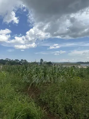 Land in Nama Mukono