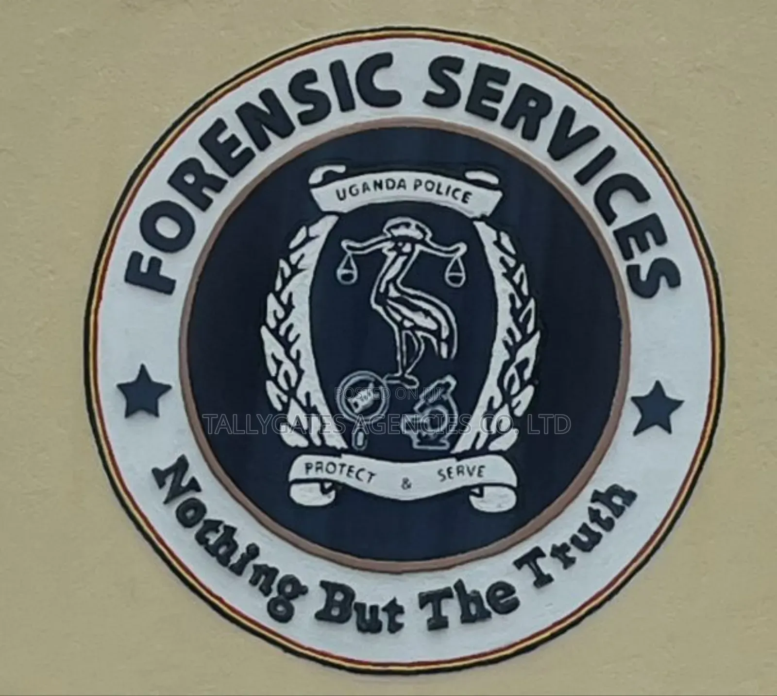 ☆Forensic Report Services☆