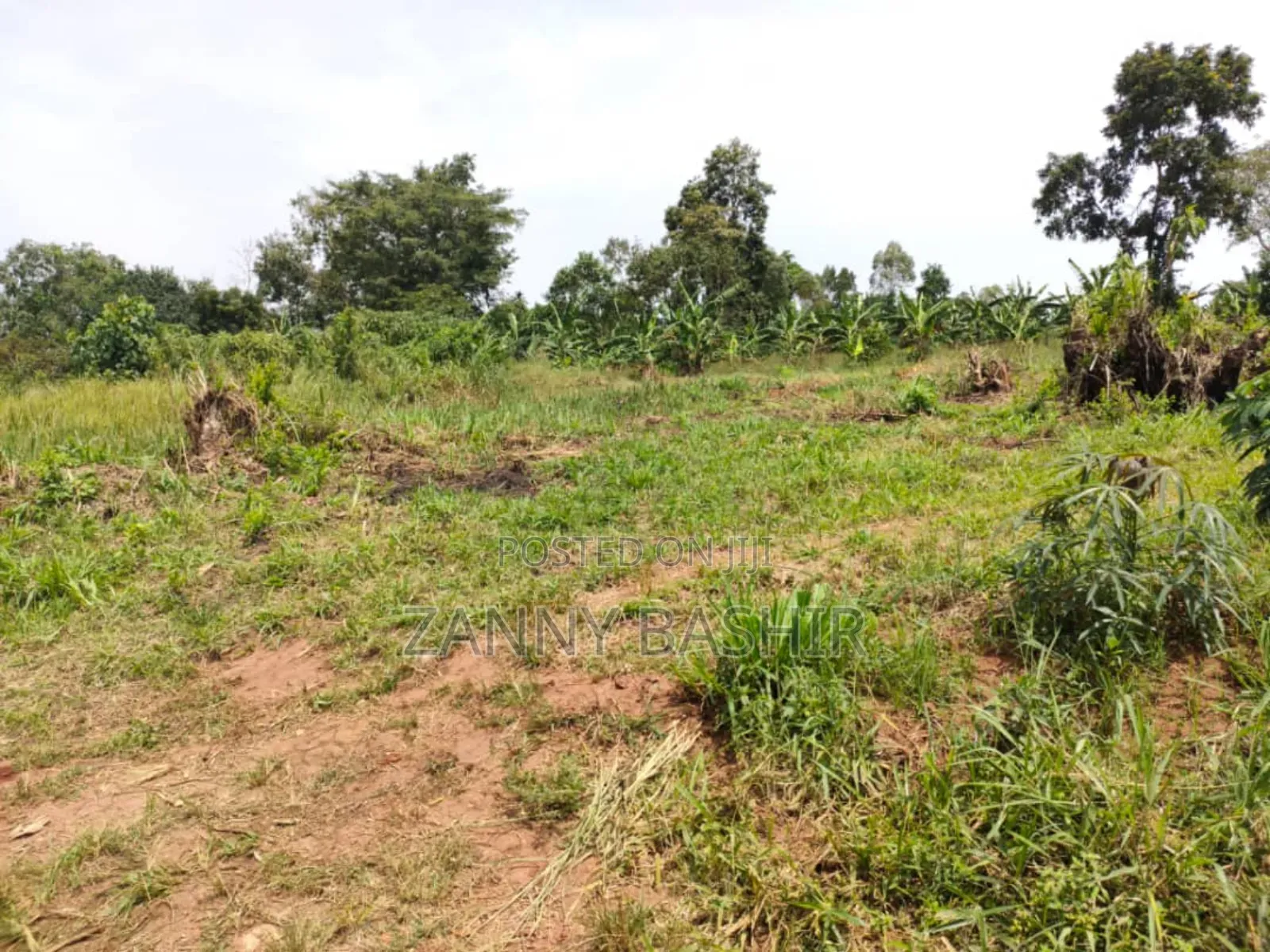 Plot on Bombo Road for Sale