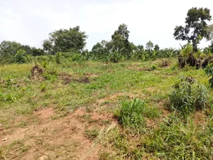 Plot on Bombo Road for Sale