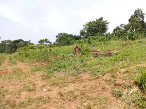 Plot on Bombo Road for Sale