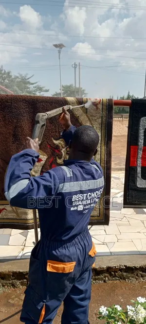 Carpet Cleaning Services for Pure Clean Carpets,Pure Satisfaction.
