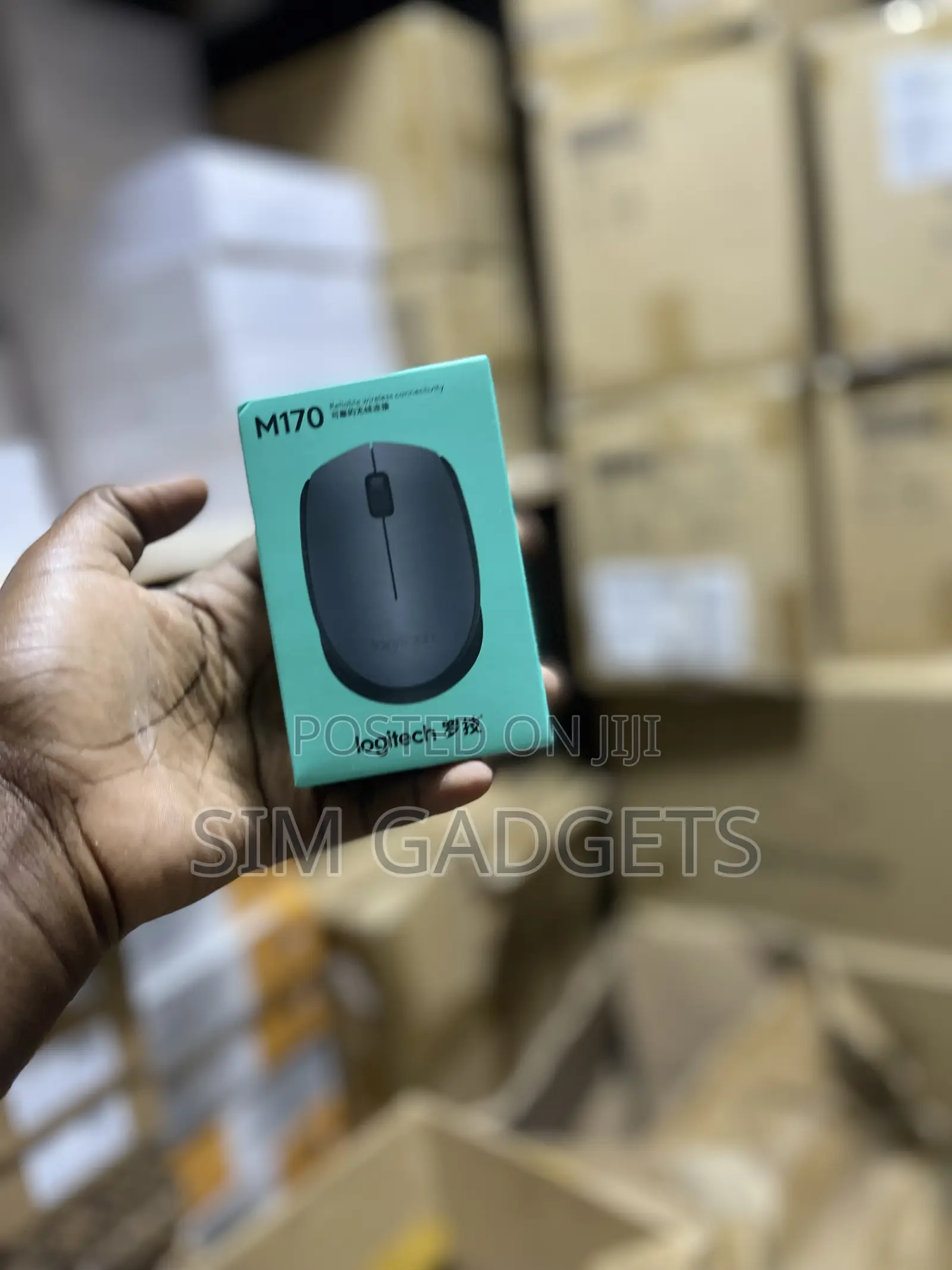 M170 Logitech Mouse