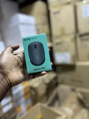 M170 Logitech Mouse