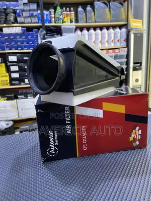 Mercedes Air Filter