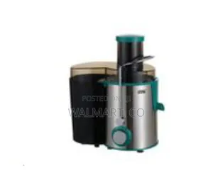 Winning Star Electric Juice Blender/Extractor Juicer