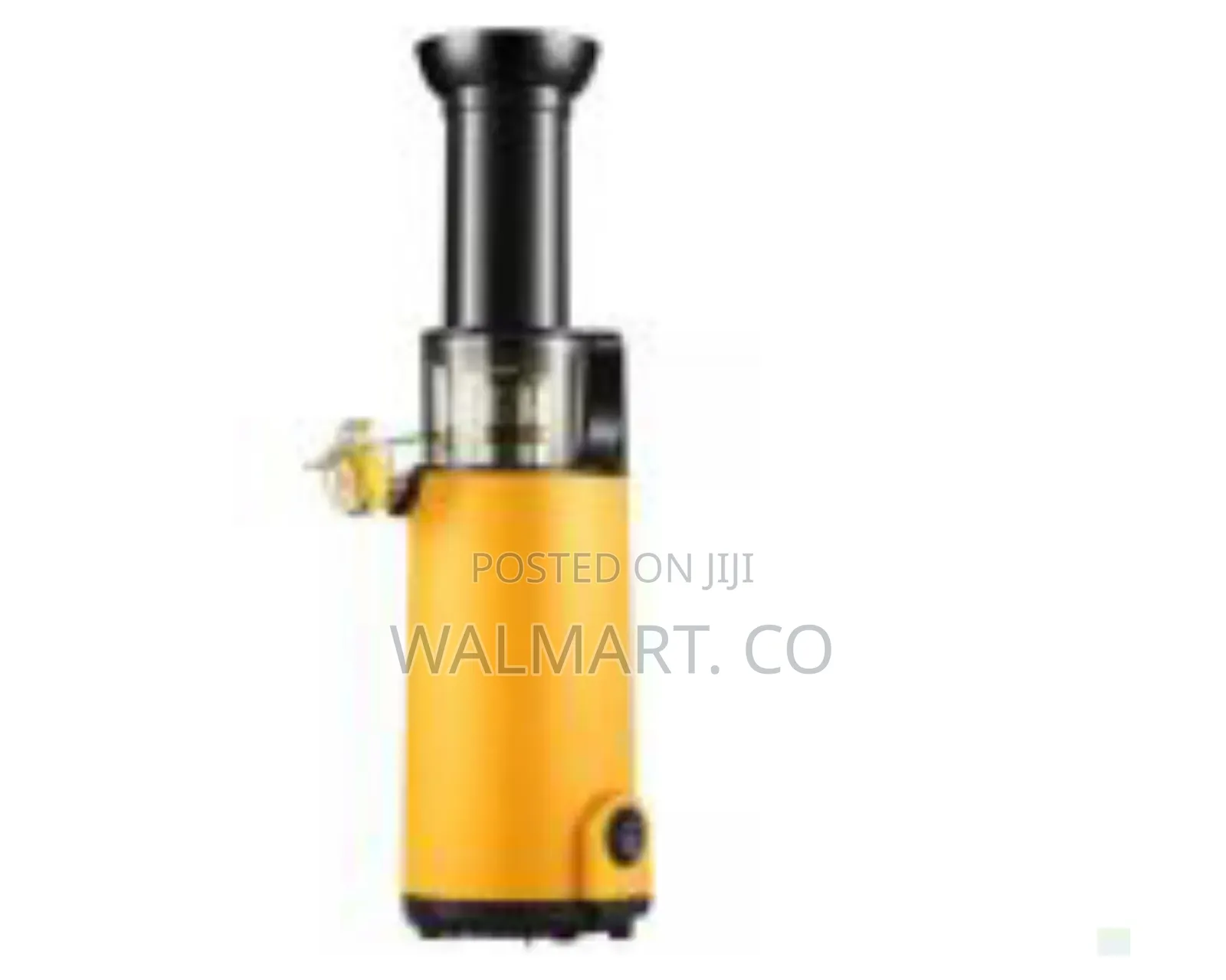 Electric Slow Juicer Fruit Blending Machine-Black