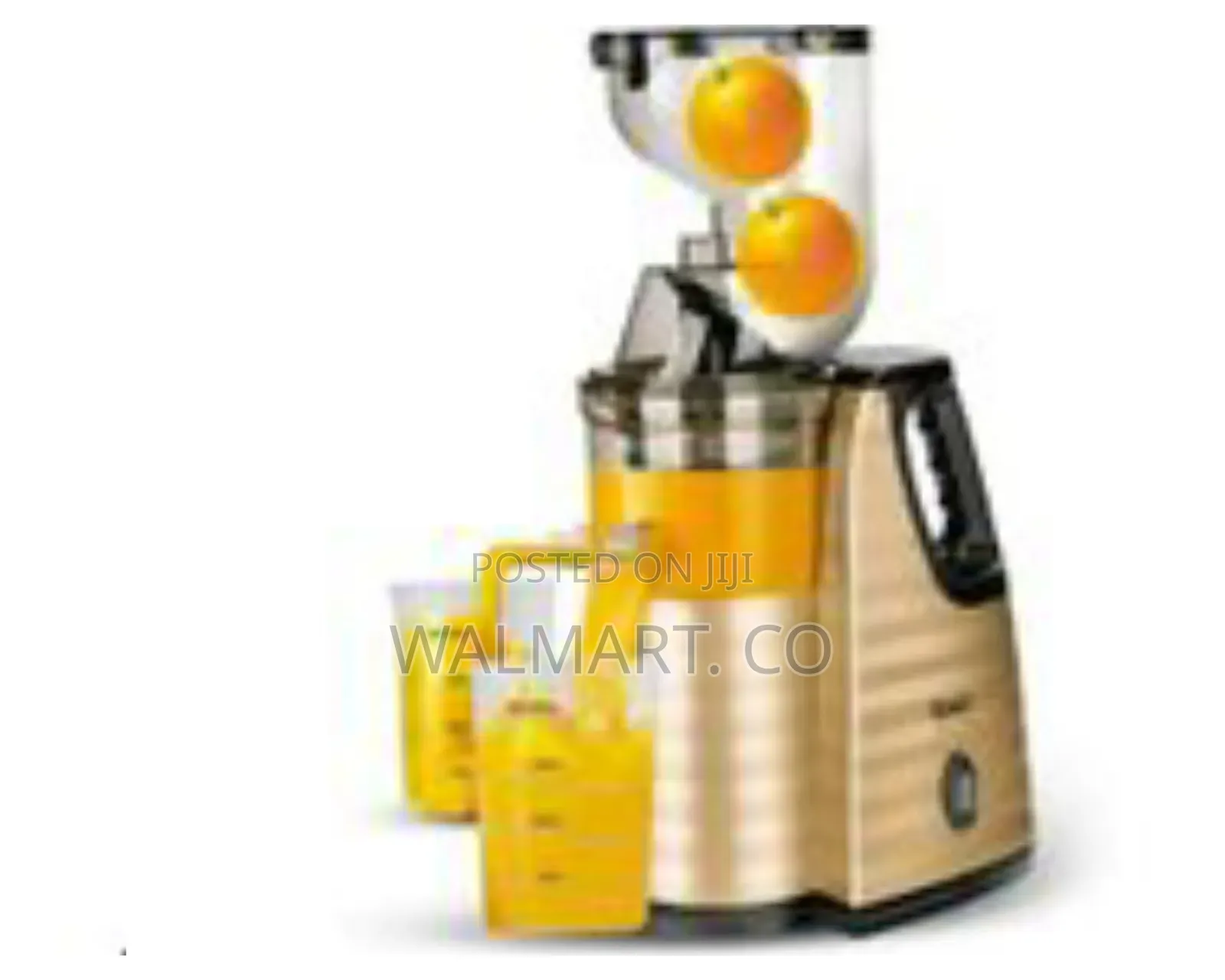 Raf Slow Masticating Juicer Extractor