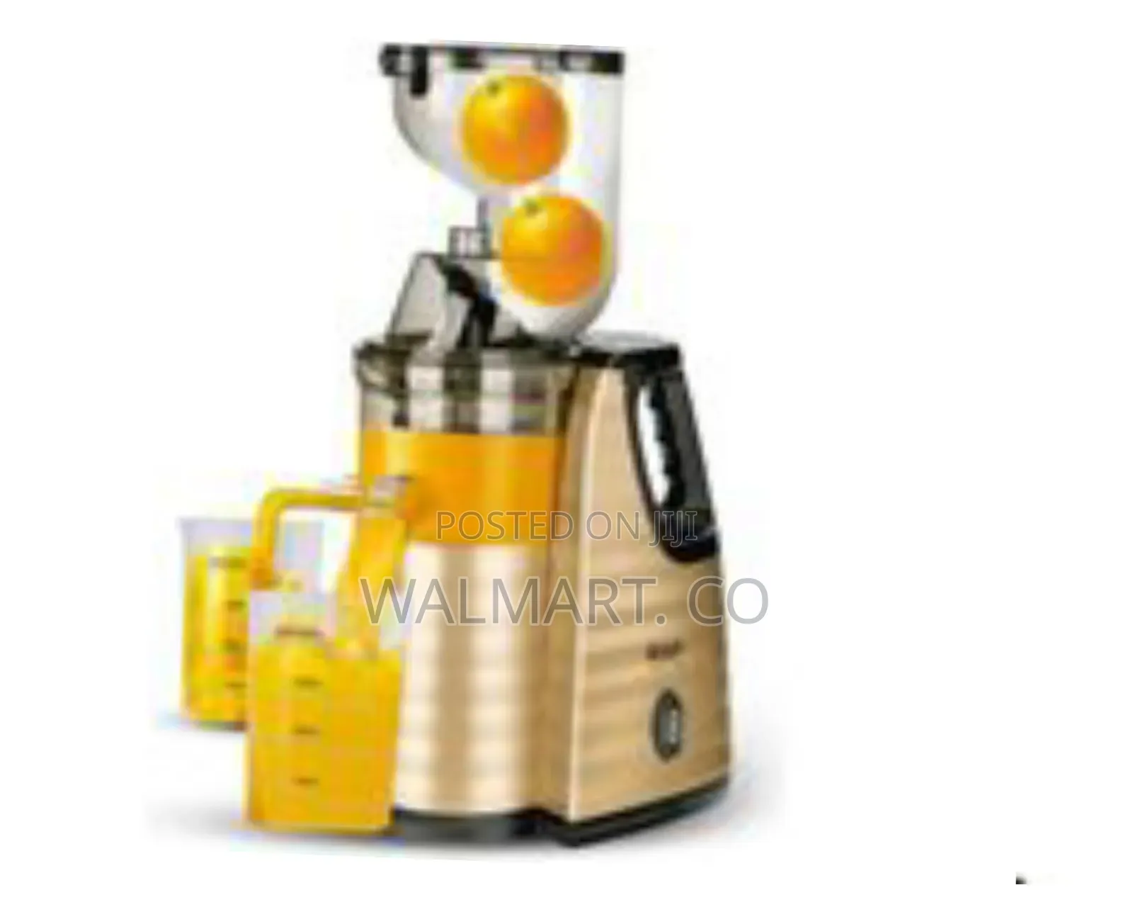 Raf Slow Masticating Juicer Extractor