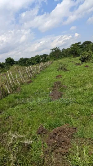 2 Acres of Titled Land for Sale at 15m Per Acre in Kapeeka Nakaseke