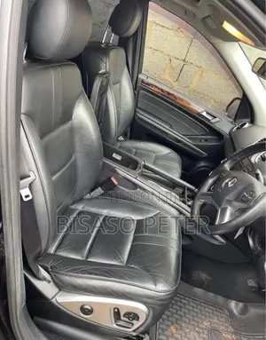 Mercedes-Benz M Class 2010 Black