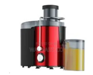 Slow Masticating Juicer Blender Vegetable and Fruit Juicer