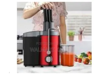 Slow Masticating Juicer Blender Vegetable and Fruit Juicer