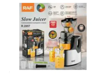 Raf Slow Masticating Juicer Extractor With 1000ml Juice Cup