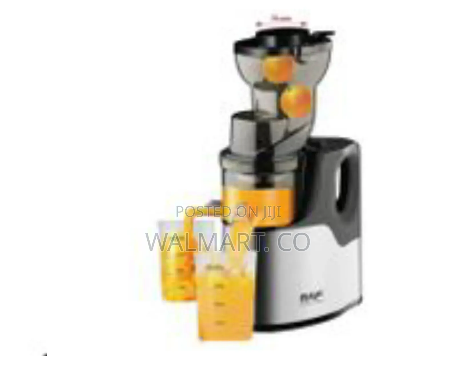 Raf Slow Masticating Juicer Extractor With 1000ml Juice Cup