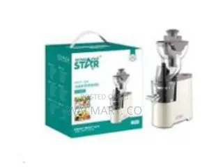 Winning Star 300ml Electric Fruit Vegetable Juice Extractor