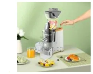 Winning Star 300ml Electric Fruit Vegetable Juice Extractor