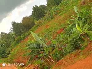 Entebbe Express Highway View Jumai Estate