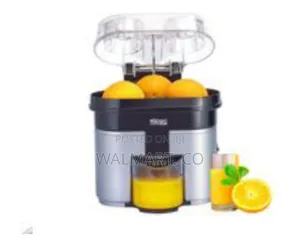 DSP Fast Electric Orange Citrus Double Juicer