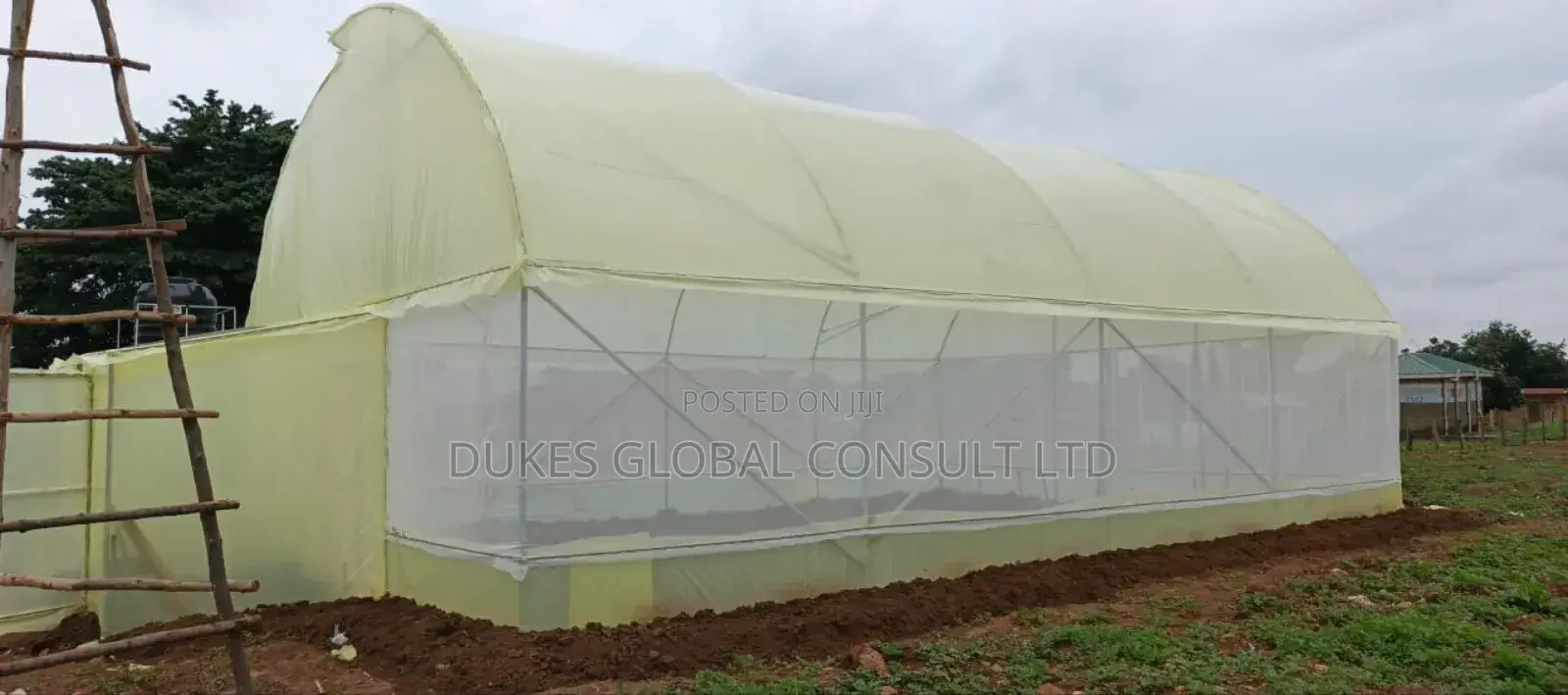 Greenhouse.