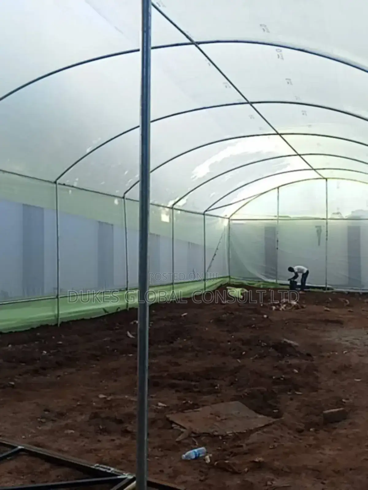 Greenhouse.
