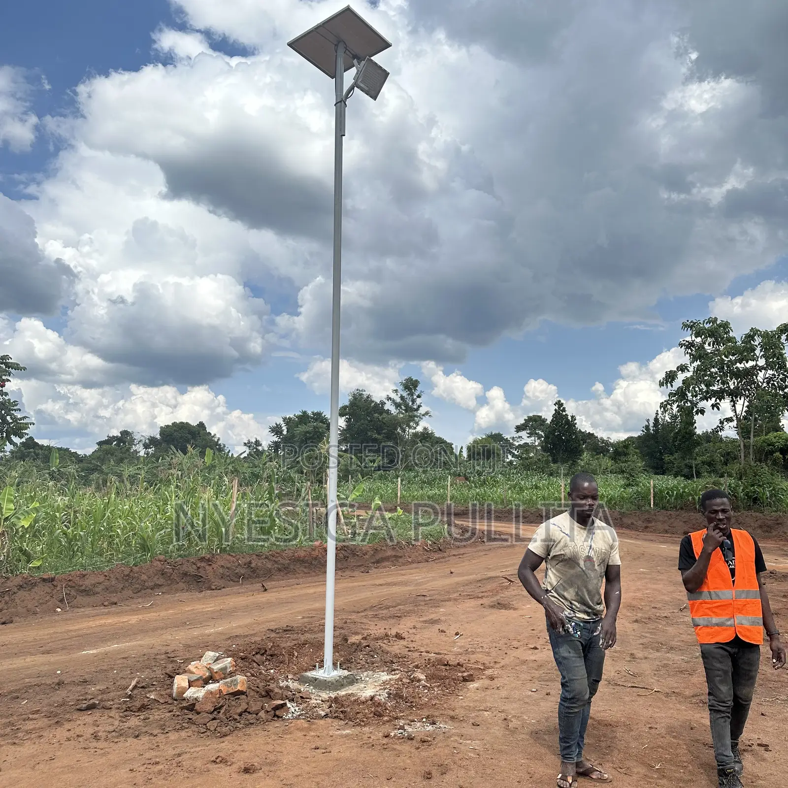 Blue Carbon Solar Lights 500wats