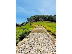 Luxurious Safari Lodge for Sale