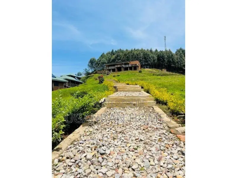 Luxurious Safari Lodge for Sale