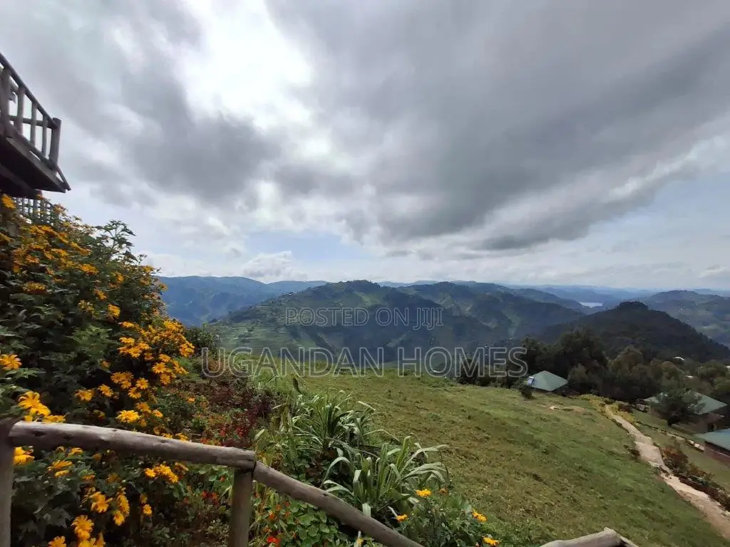 Luxurious Safari Lodge for Sale