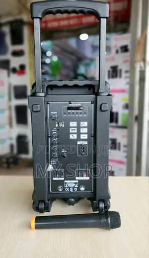 Speaker System (Party Box)
