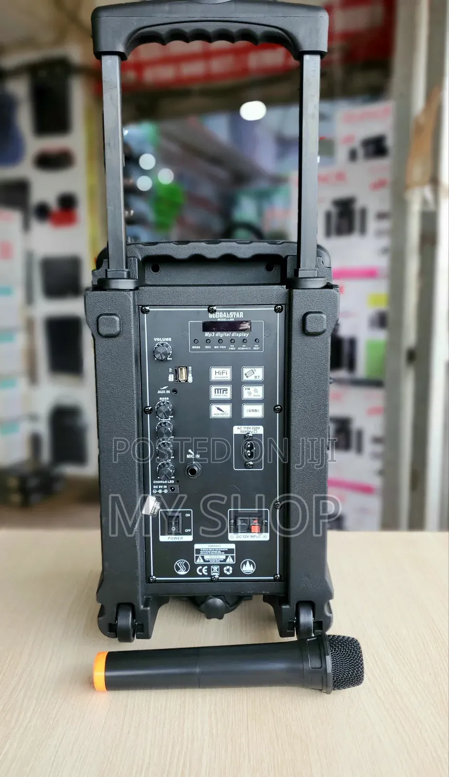 Speaker System (Party Box)