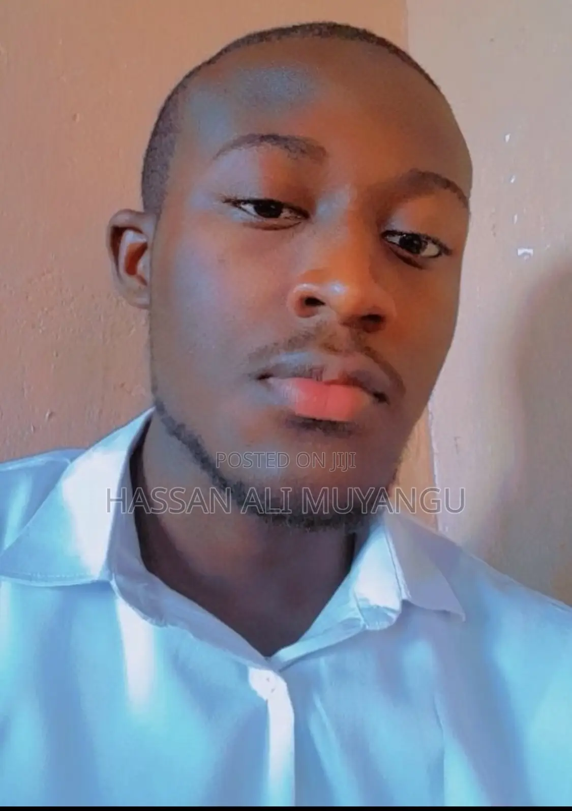 Management CV