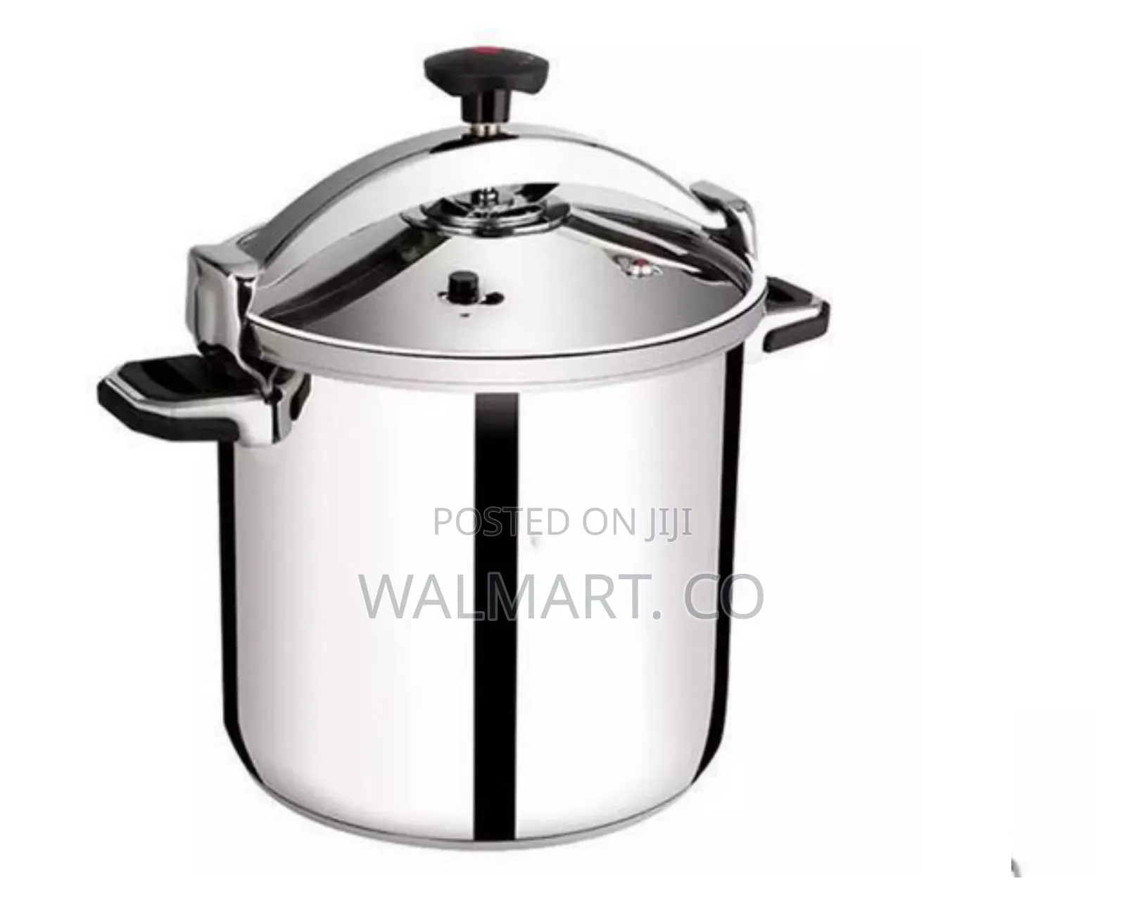 Regina 75l Pressure Cooker Saucepan Cookware Pot-silver