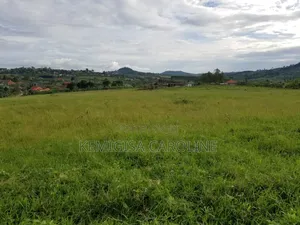 50*100ft Titled Plots For Sale In Bujjuuko