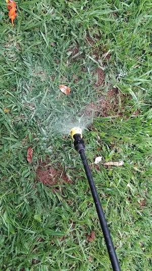 Fumigation at Once