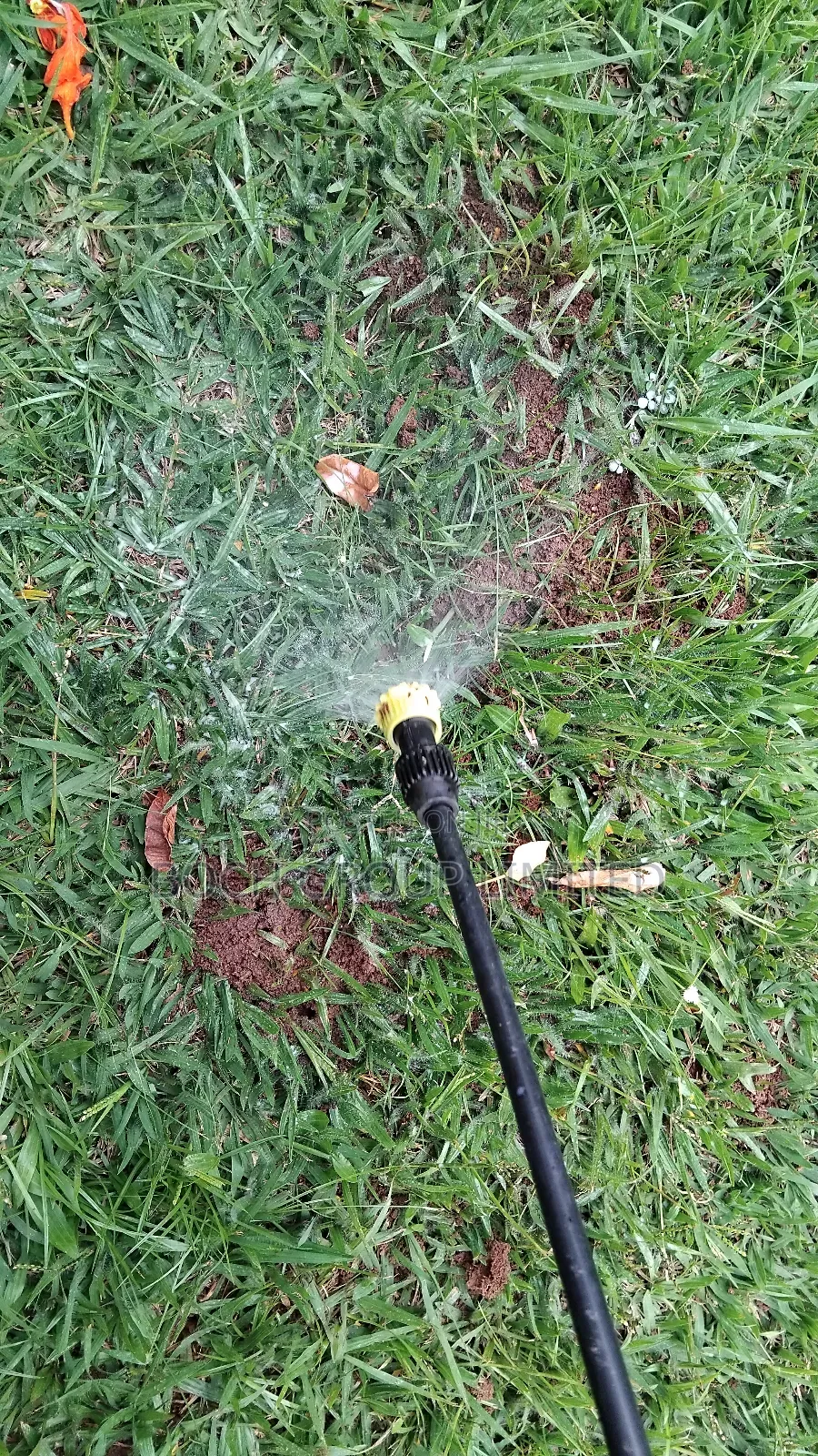 Fumigation at Once