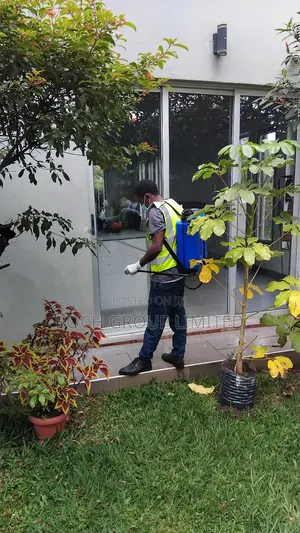 Fumigation at Once