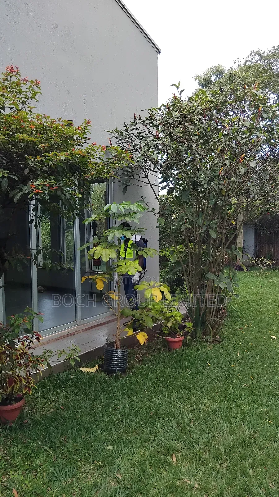 Fumigation at Once