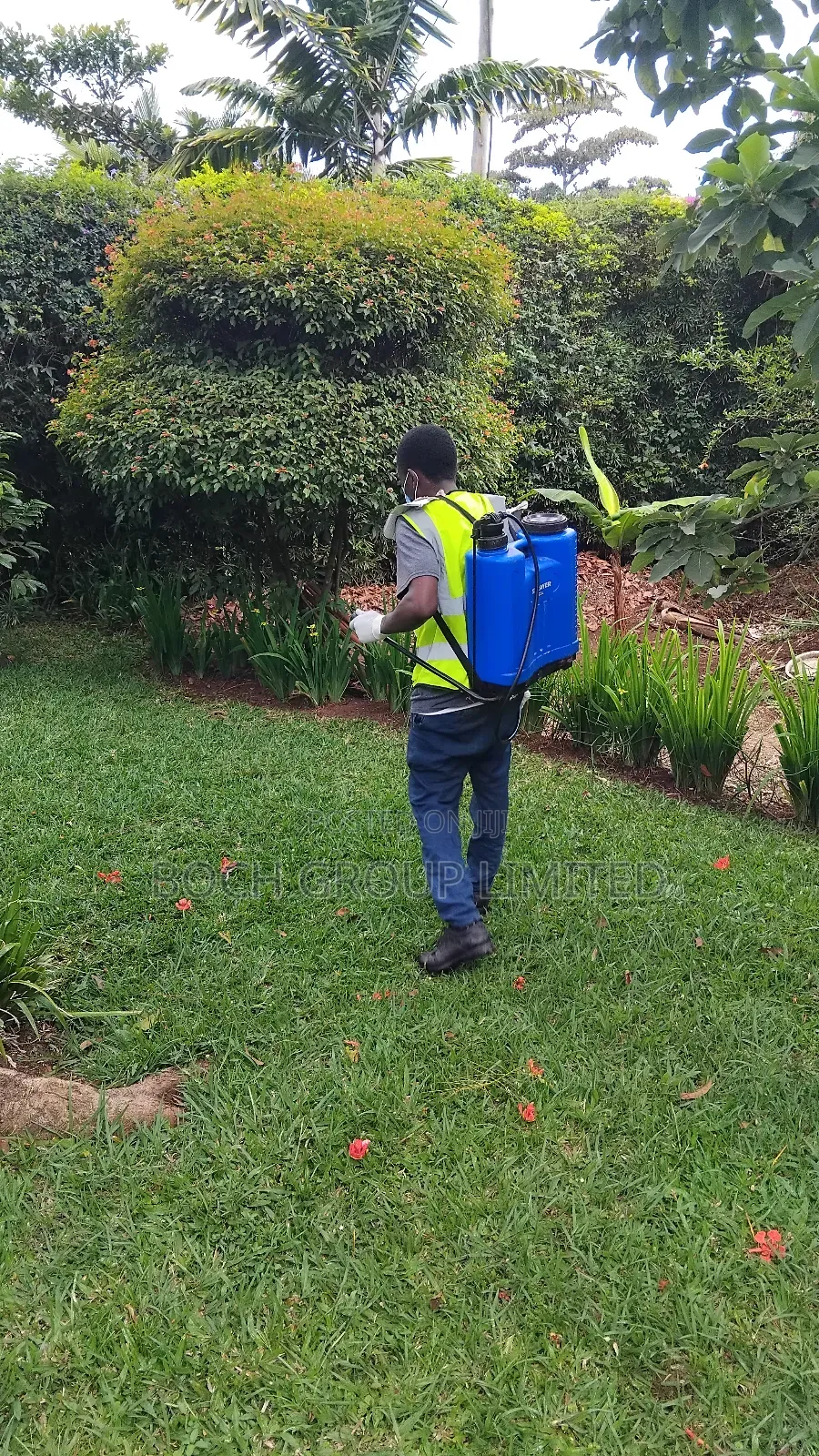 Fumigation at Once